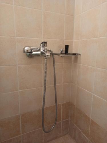 een douche met een slang in de badkamer bij Helmos Mountain Retreat in Zarouhla