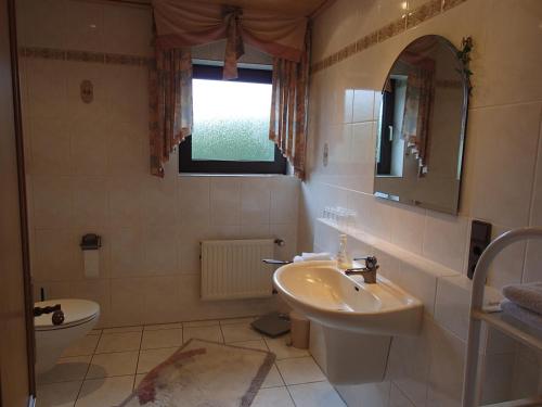 ein Badezimmer mit einem Waschbecken, einem WC und einem Spiegel in der Unterkunft Ferienwohnung Meisenthal nähe Nürburgring in Kelberg