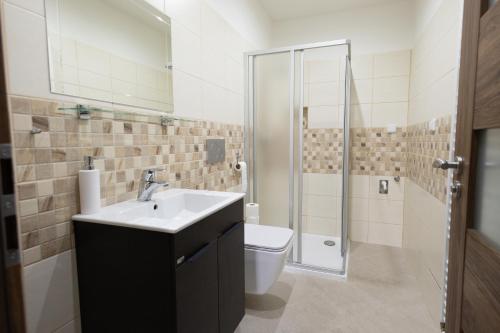 a bathroom with a sink and a toilet and a shower at Apartmány U Davídků in Cerny Dul