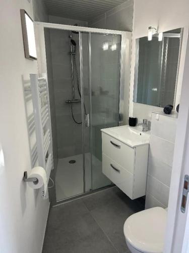 une salle de bain avec une douche, des toilettes et un lavabo dans l'établissement Maisonnette, à Bormes-les-Mimosas