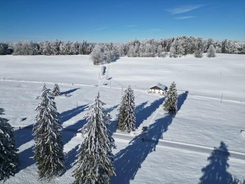 a group of trees in the snow with a house at la ferme de la gaby in Le Noirmont