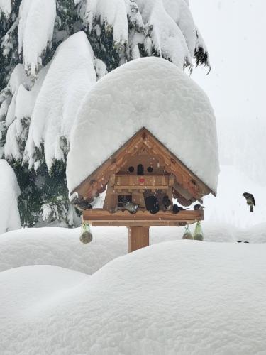 a bird feeder covered in snow in a yard at Gästehaus Herma in Ramsau am Dachstein