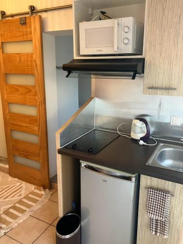 une petite cuisine avec un évier et un micro-ondes dans l'établissement Le Nid Castries - Charmant logement complet et équipé Centre Castries proche Montpellier, à Castries
