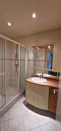 a bathroom with a sink and a shower at Le Sleipnir - Appartement cantilien calme (proche gare SNCF) in Chantilly