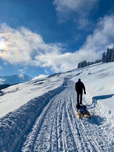 a man walking a dog in the snow at s'pölven NEST in Bad Häring