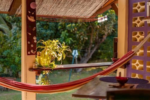 amaca con una pianta seduta su un tavolo di Kaz Zen a Sainte-Anne