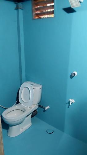 - Baño con aseo en habitación azul en ULPATHA ECO LODGE en Kurunegala