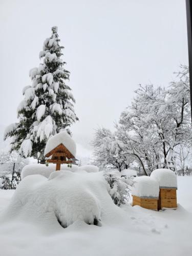 a snow covered yard with a bird house and a christmas tree at Gästehaus Herma in Ramsau am Dachstein