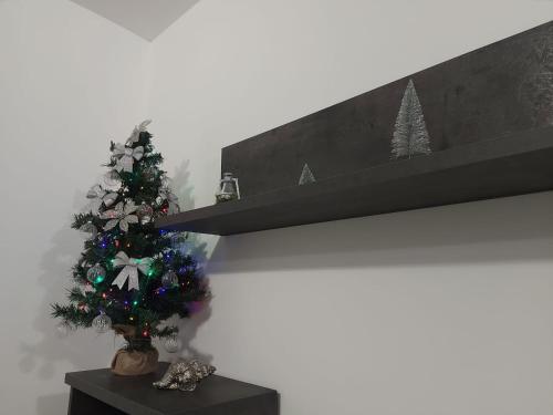 a christmas tree sitting on a shelf at House Arrow in Latina