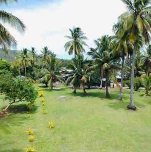Taman di luar White Sandy Beach-Best Manta Snorkeling