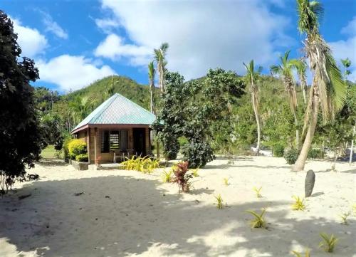 una cabaña en la playa con palmeras en White Sandy Beach-Best Manta Snorkeling, en Isla Naviti
