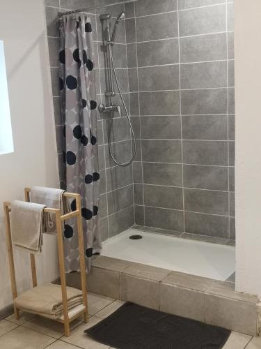 een badkamer met een douche en een douchegordijn bij Maison à 500 m du lac in Ardres