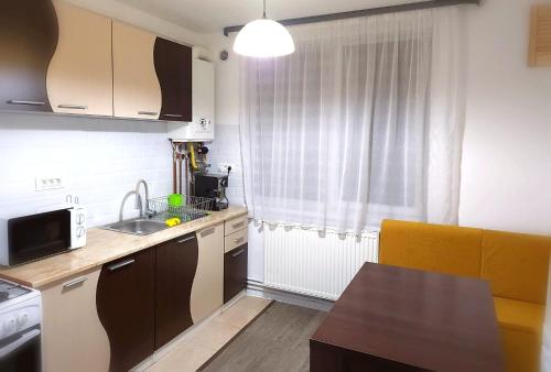 Η κουζίνα ή μικρή κουζίνα στο Apartament cu 1 camera ultracentral