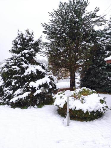 a snow covered yard with two trees and a pole at Penzion Kosky in Hamr