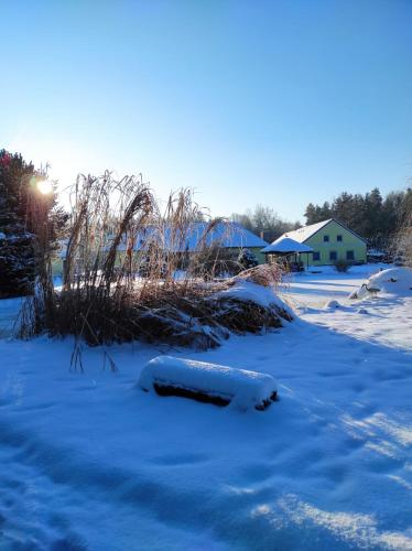a field covered in snow with the sun in the background at Penzion Kosky in Hamr
