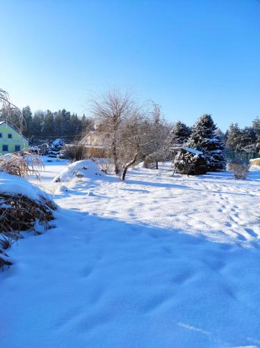 a snow covered field with trees and houses at Penzion Kosky in Hamr