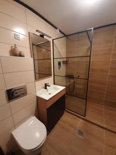 a bathroom with a toilet and a sink and a shower at Twin mountain in Kopaonik
