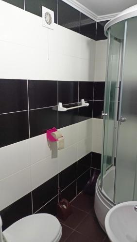 a bathroom with a toilet and a shower and a sink at Відпочинок у Євгена та Оксани in Yaremche