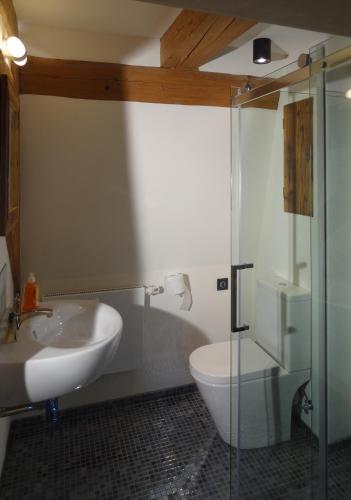 a bathroom with a sink and a toilet and a shower at Ickelhaus 2 in Bad Windsheim