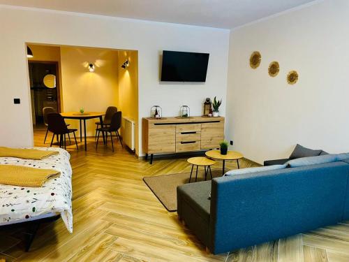 Televízia a/alebo spoločenská miestnosť v ubytovaní GÓRSKA CISZA - Apartamenty