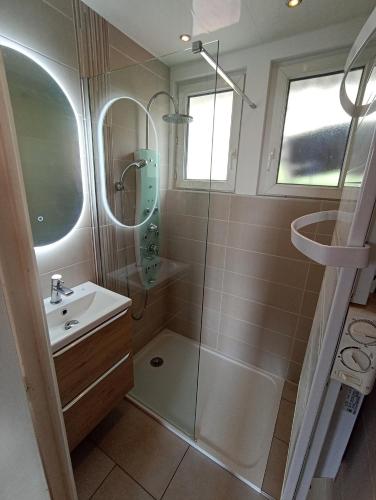 a bathroom with a shower and a sink at L'ELGIA, gîte 3 épis, 3 étoiles in Saint-Martin-d'Uriage