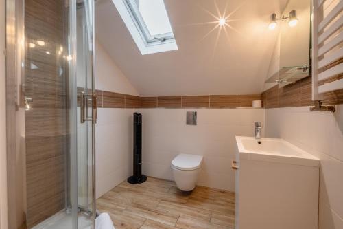 a bathroom with a toilet and a sink and a shower at Zielony Zakątek Karpacz Apartamenty in Karpacz