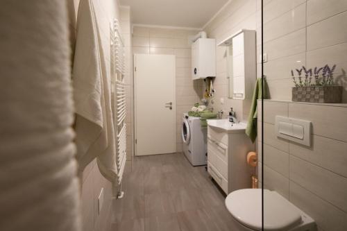 a small bathroom with a toilet and a sink at Apartman IVANA - private parking in Osijek
