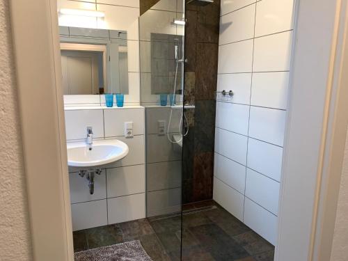 a bathroom with a sink and a shower at Voigtshof Niederrhein Ferienwohnung „Balberg“ in Sonsbeck