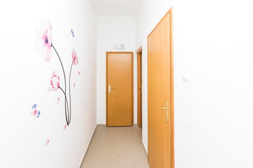 Φωτογραφία από το άλμπουμ του APARTMANI I SOBA ROBERTO I MIRJANA σε Valun