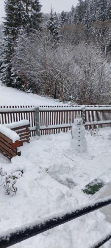 a snow covered yard with a bench and a fence at Ferienhaus Rosemarie Erlbach Vogtland in Erlbach