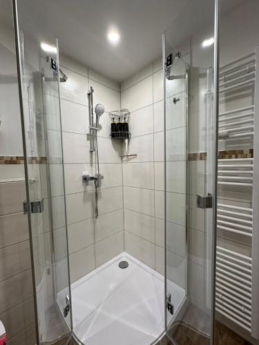 a shower with a glass door in a bathroom at Modern Apartments Neuburg D - TOP - 2 Zimmer, Parkplatz, Balkon, Wi-Fi, 2 TV, Dusche, Küche in Neuburg an der Donau
