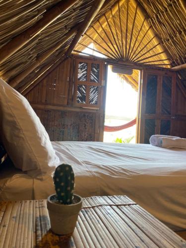 a cactus sitting next to a bed in a room at Guajira Beach in Ríohacha
