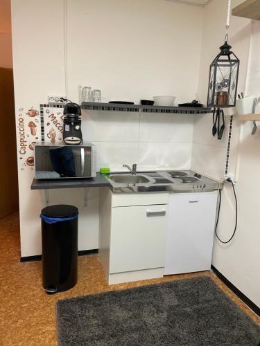 eine Küche mit einer Spüle und einer Mikrowelle in der Unterkunft Vilseck Apartment in Vilseck