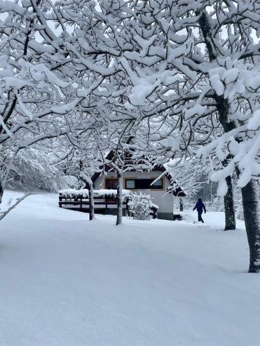 a person walking in the snow under a tree at Holiday home Bozica in Lokve