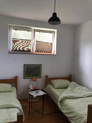 a bedroom with two beds and a window at Garden's apartman - Kosjerić in Kosjerić