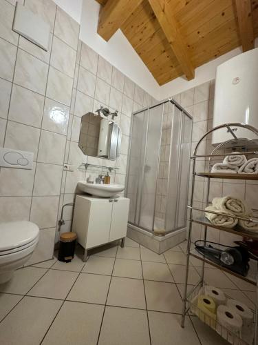 a bathroom with a shower and a toilet and a sink at LEO Apart 1 in Radfeld