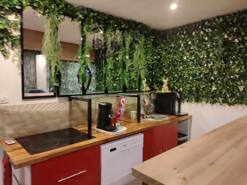 eine Küche mit einer grünen Wand mit Pflanzen in der Unterkunft Domaine des pins in Saint-Mitre-les-Remparts