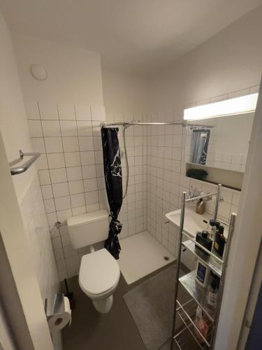 Un baño pequeño con inodoro y lavabo. en Suncatcher Studio, en Berna