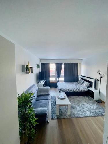 Suncatcher Studio في برن: غرفة معيشة مع أريكة وسرير