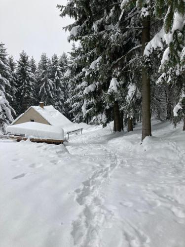 a snow covered yard with a house and trees at Chata Alšovka in Měděnec
