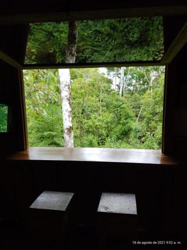 Fotografie z fotogalerie ubytování Cabaña De Montaña v destinaci Aguas Claras