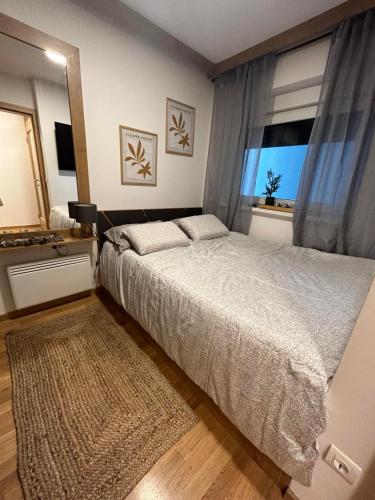 een slaapkamer met een groot bed en een raam bij Bjelašnica Olympic Apartment in Bjelašnica