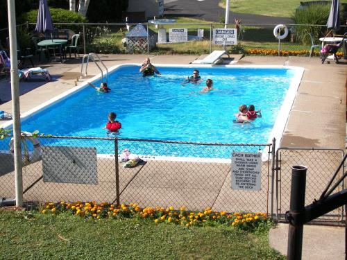 Kolam renang di atau dekat dengan Villager Lodge Niagara Falls