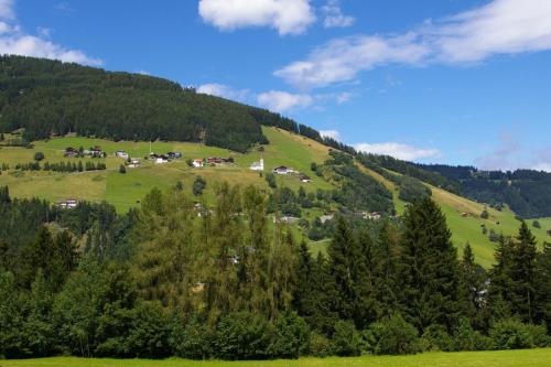 Příroda nedaleko apartmánu