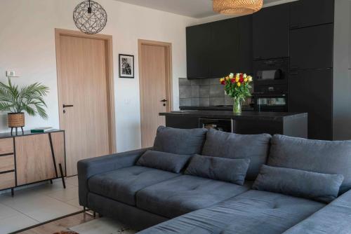 Η κουζίνα ή μικρή κουζίνα στο Taylor Apartman