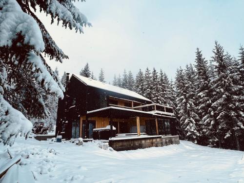 克盧日納波卡的住宿－Cabana Merlin - Statiunea Muntele Baisorii，雪地中的一座建筑,有雪覆盖的树木