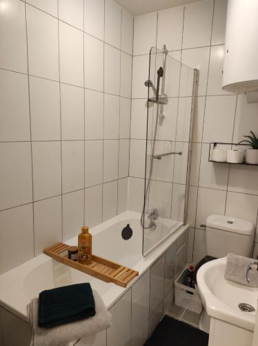 une salle de bain avec une douche, des toilettes et un lavabo dans l'établissement Cosy Studio à proximité de PARIS, à Savigny-sur-Orge