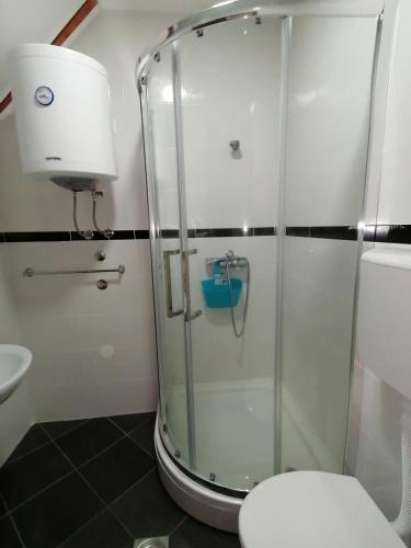 ein Bad mit einer Dusche, einem WC und einem Waschbecken in der Unterkunft Gondola 22 in Kopaonik