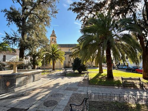 un parque con bancos y palmeras frente a un edificio en Accommodation Campanario de la Magdalena en Córdoba