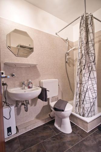 Un baño con inodoro, lavabo y ducha. en Stilvolles Studio Apt. Lübeck Zentrum, en Lübeck